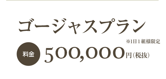 ゴージャスプラン料金500,000円（税抜）