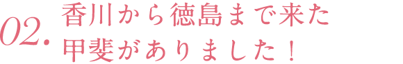 02.香川から徳島まで来た甲斐がありました！